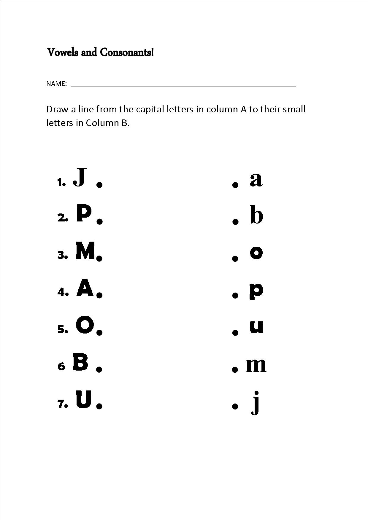 Consonant And Vowel Worksheet - Letter